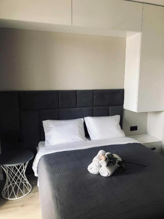 Apartment Grzybowska Premium